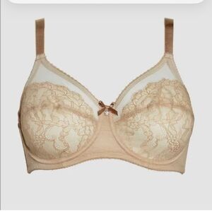 Wacoal 855186 Women's Retro Chic Full Figure Underwire Bra 46DD Beige Semi Sheer